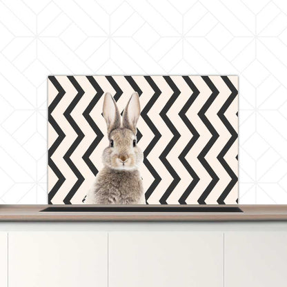 Spatscherm - Funny konijn zigzag