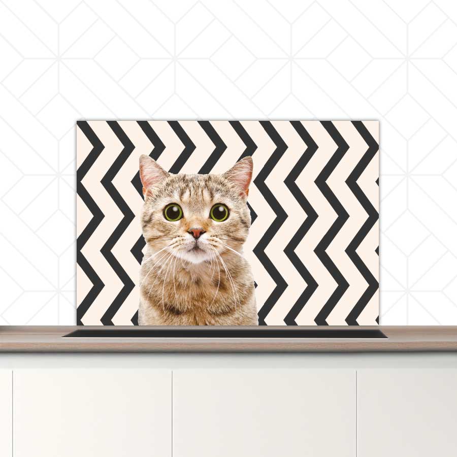 Spatscherm - Funny kat zigzag