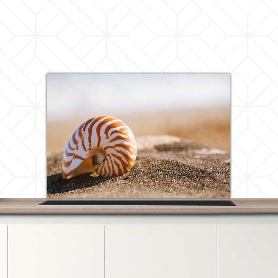 Spatscherm - Zeeschelp