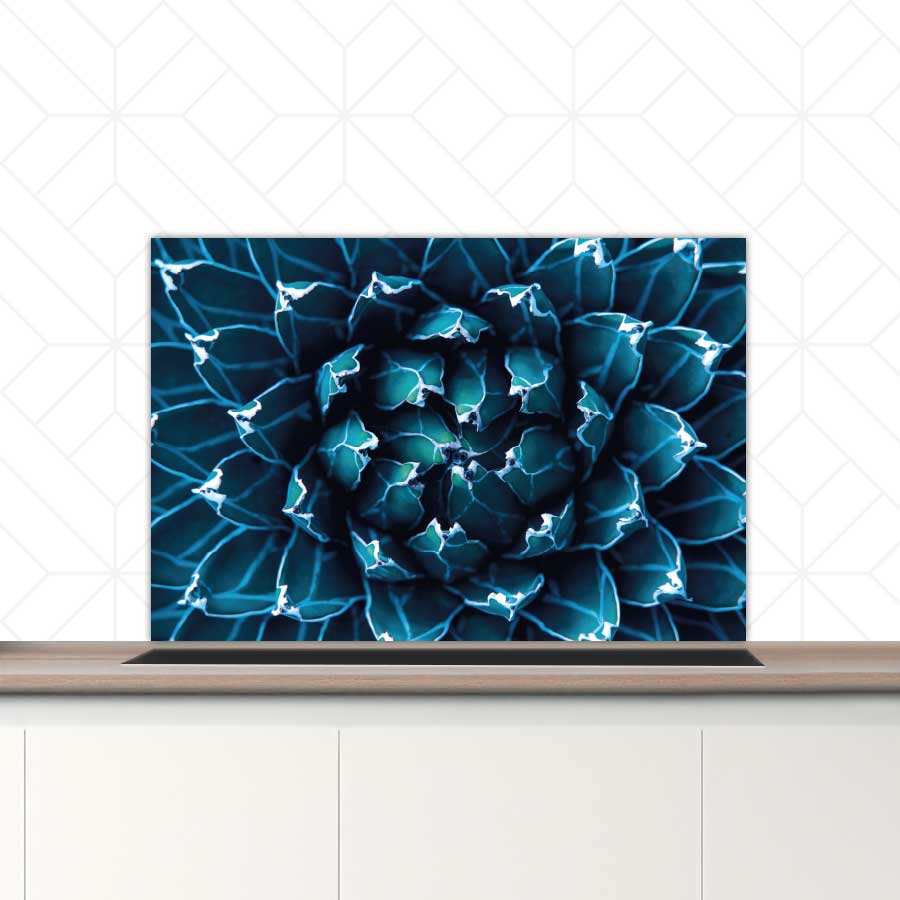 Spatscherm - Blauwe agave