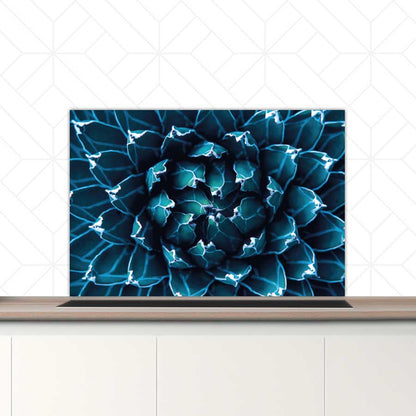 Spatscherm - Blauwe agave