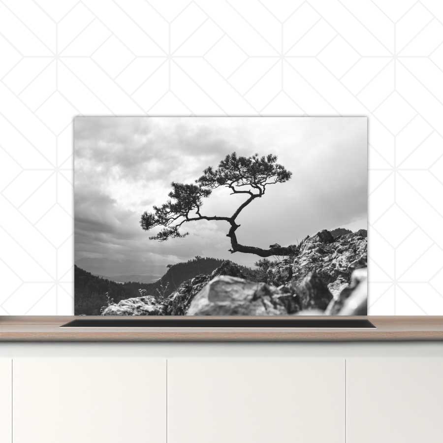 Spatscherm - Overhangende boom