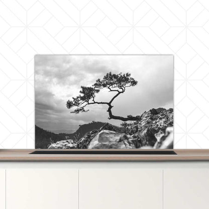 Spatscherm - Overhangende boom