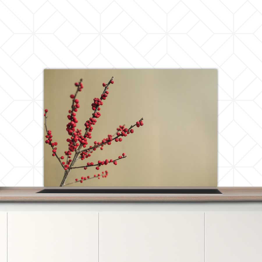 Spatscherm - Rode bessen