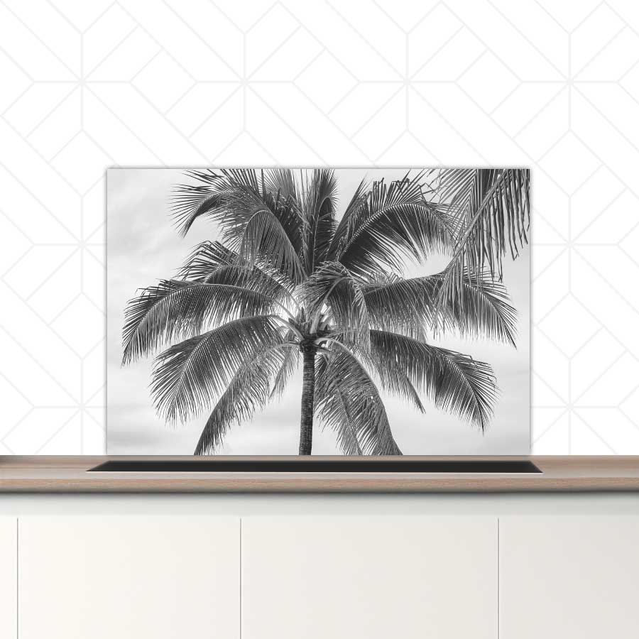 Spatscherm - Palmboom