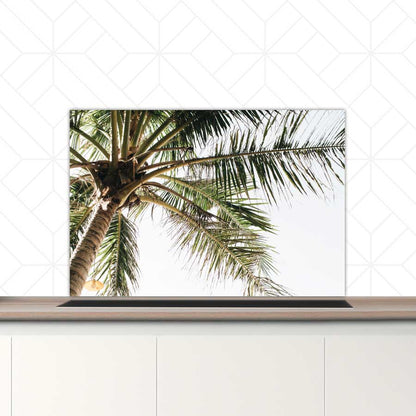 Spatscherm - Palmstrand