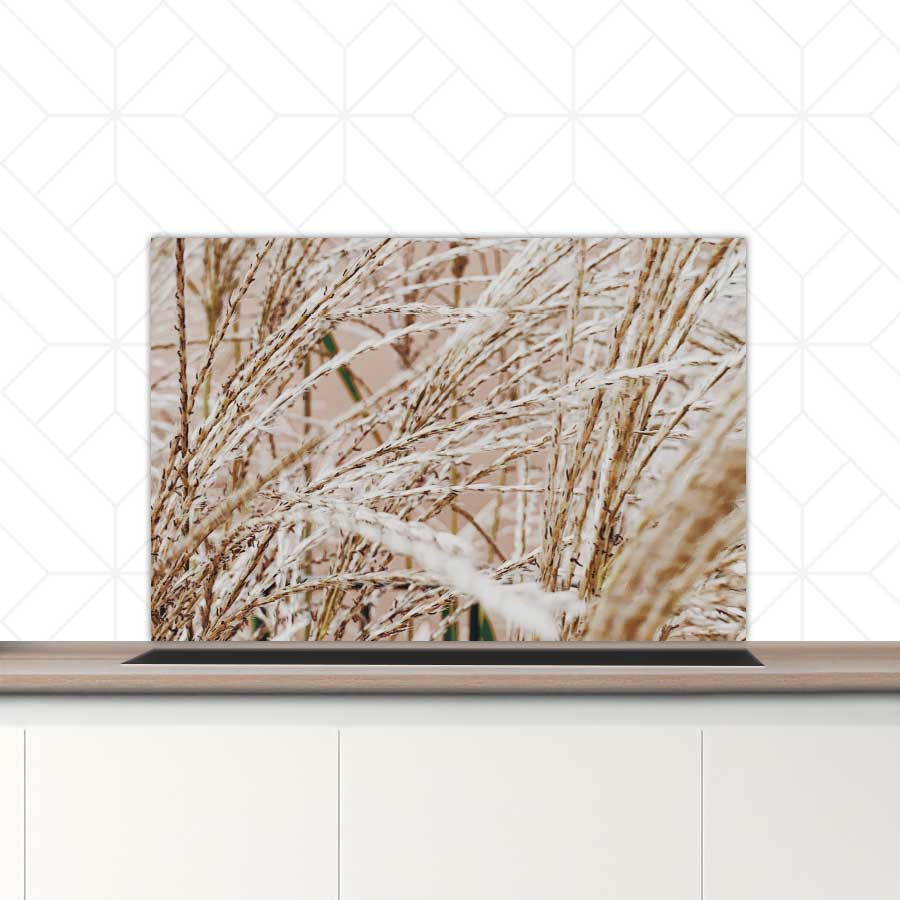 Spatscherm - Droge rietstengels