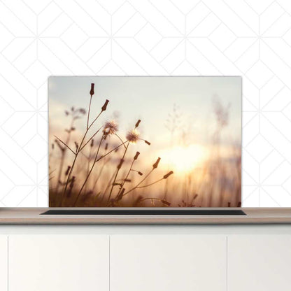 Spatscherm - Dandelion zonsondergang