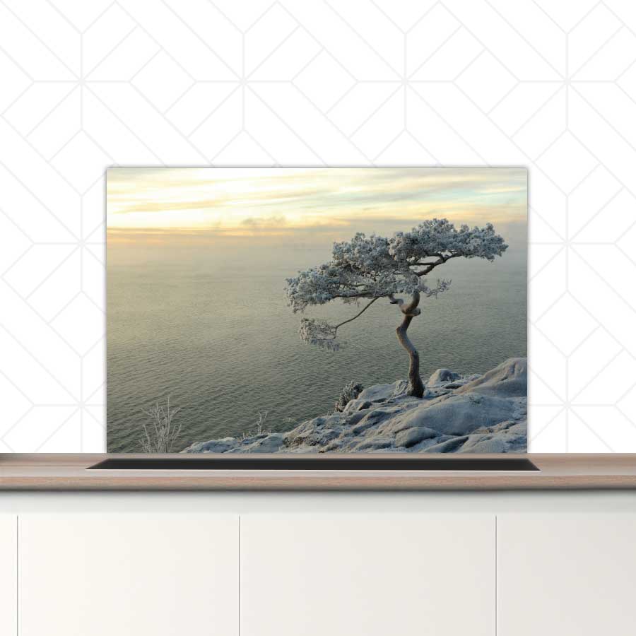 Spatscherm - Winterboom