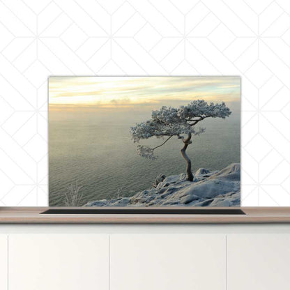 Spatscherm - Winterboom