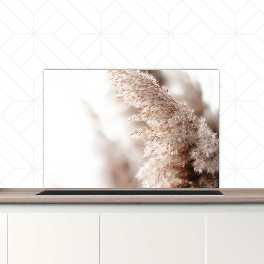 Spatscherm - Pampas gras