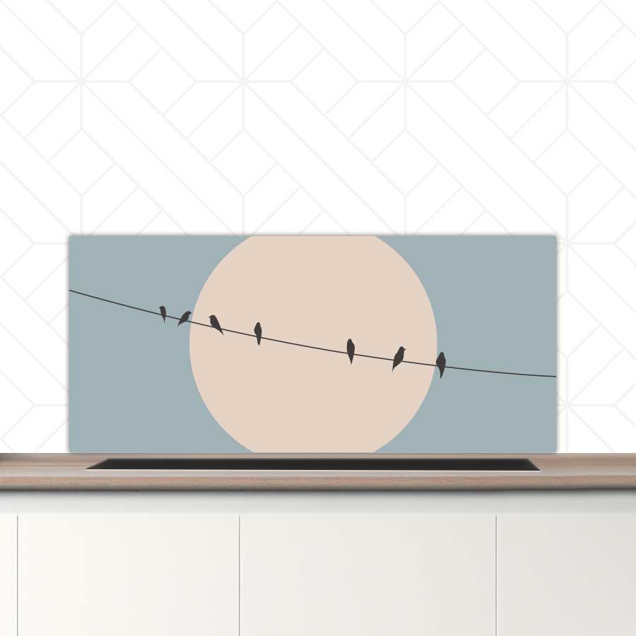 Spatscherm - Vogels op een draad