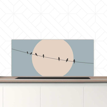 Spatscherm - Vogels op een draad