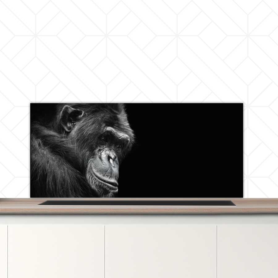 Spatscherm - Chimpansee