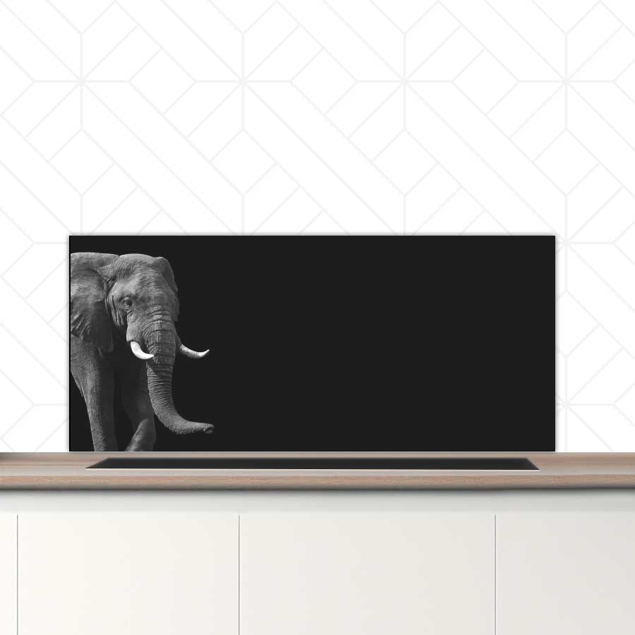 Spatscherm - Afrikaanse olifant