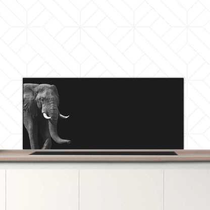 Spatscherm - Afrikaanse olifant