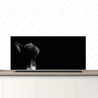 Spatscherm - Franse bulldog