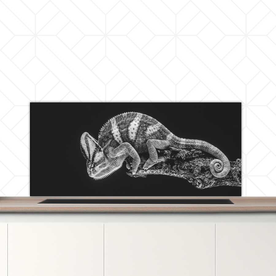 Spatscherm - Kameleon