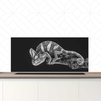 Spatscherm - Kameleon