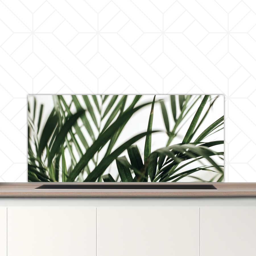 Spatscherm - Palm bladeren