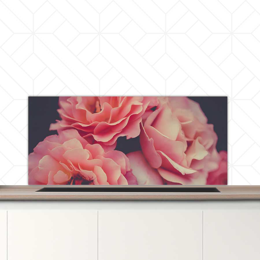 Spatscherm - Rozen close-up