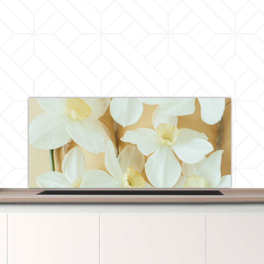 Spatscherm - Narcissen