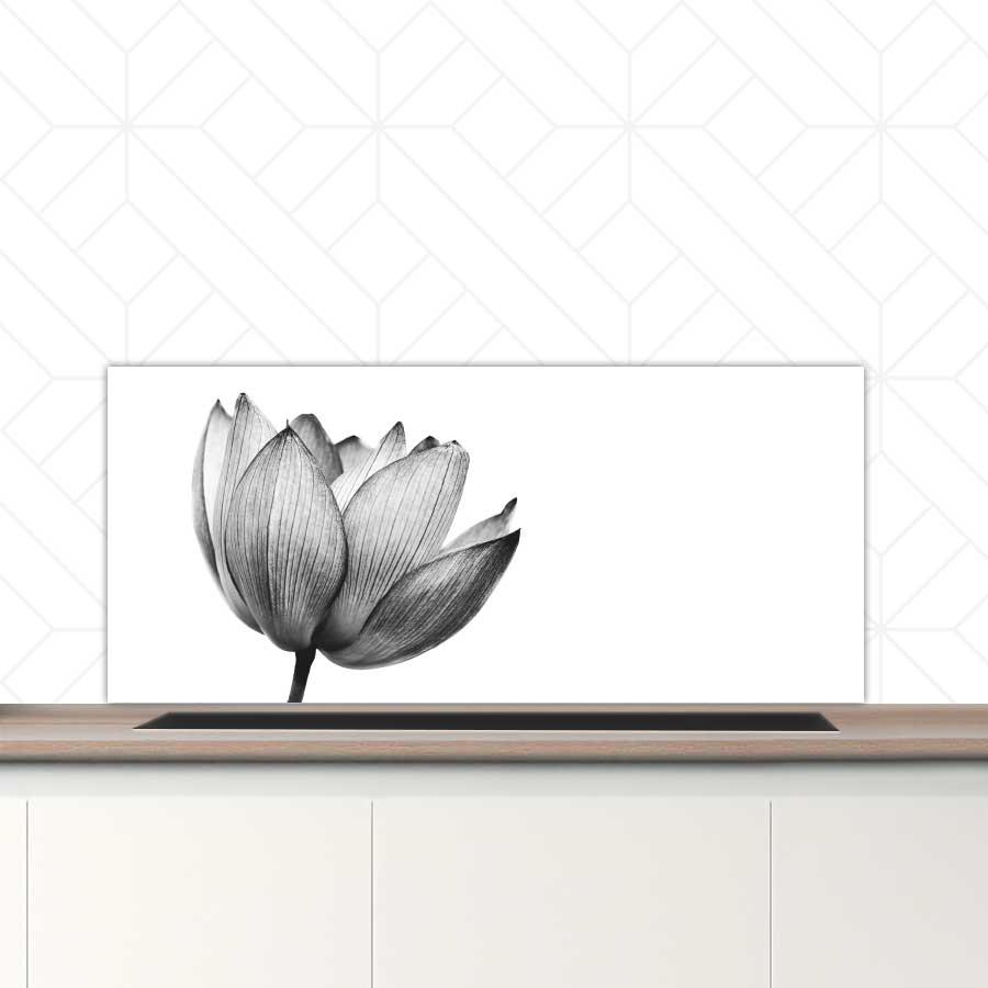 Spatscherm - Lotus in zwart-wit