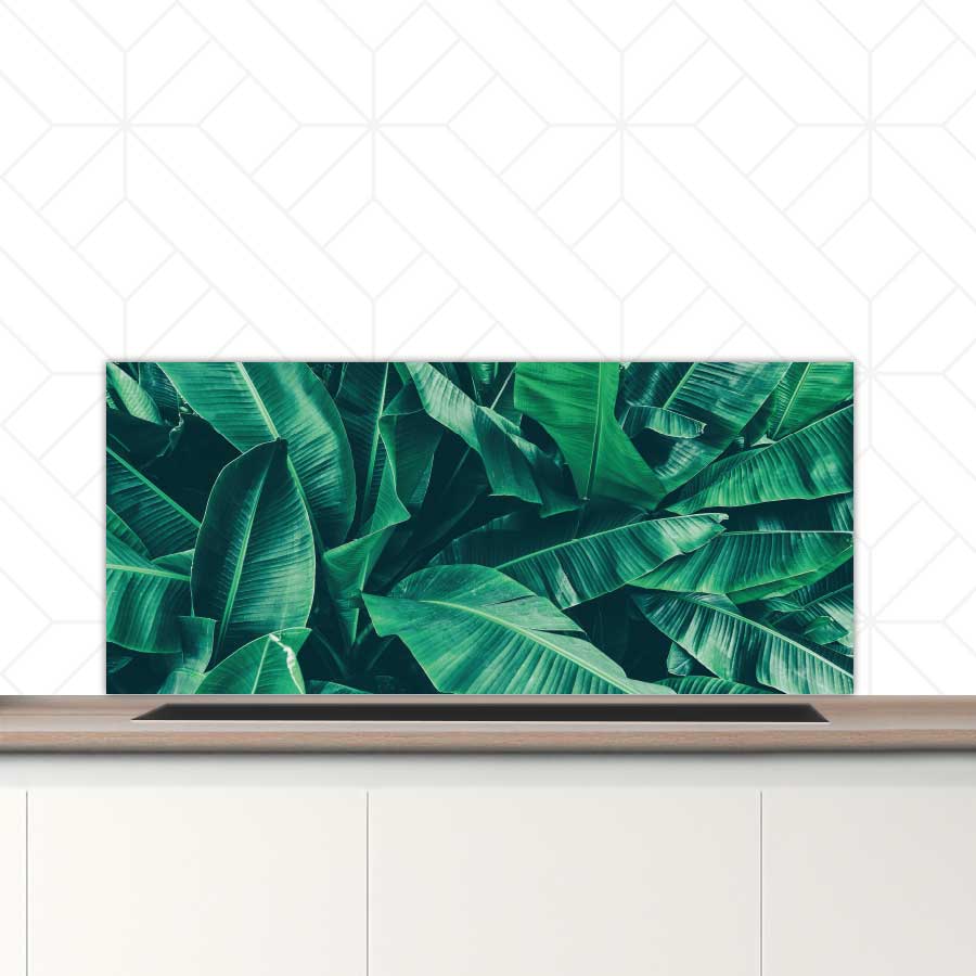 Spatscherm - Tropische bladeren