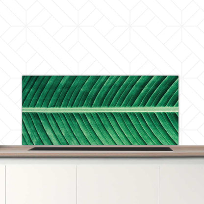 Spatscherm - Groen blad