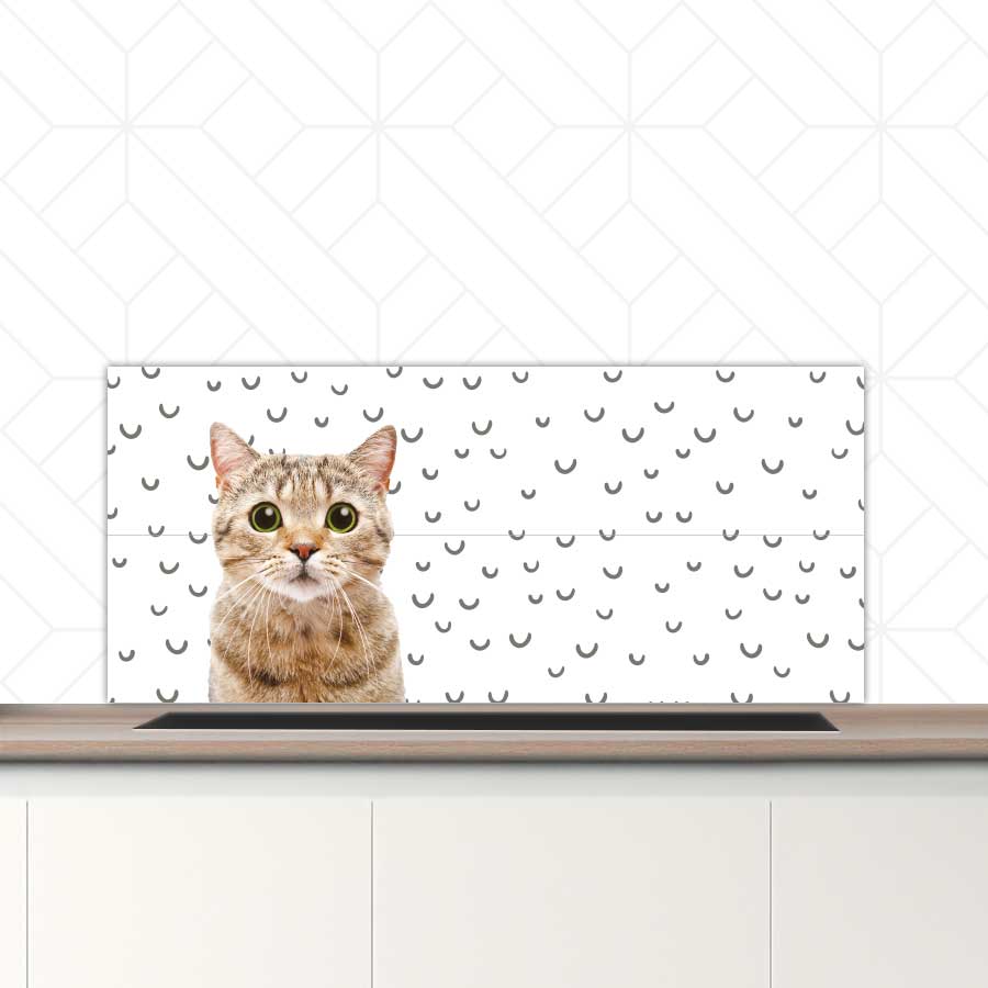 Spatscherm - Funny kat fugler