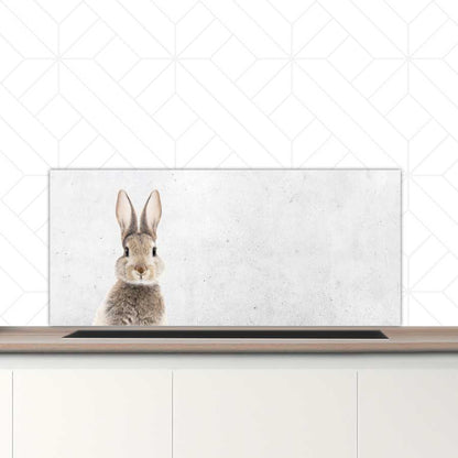 Spatscherm - Funny konijn beton