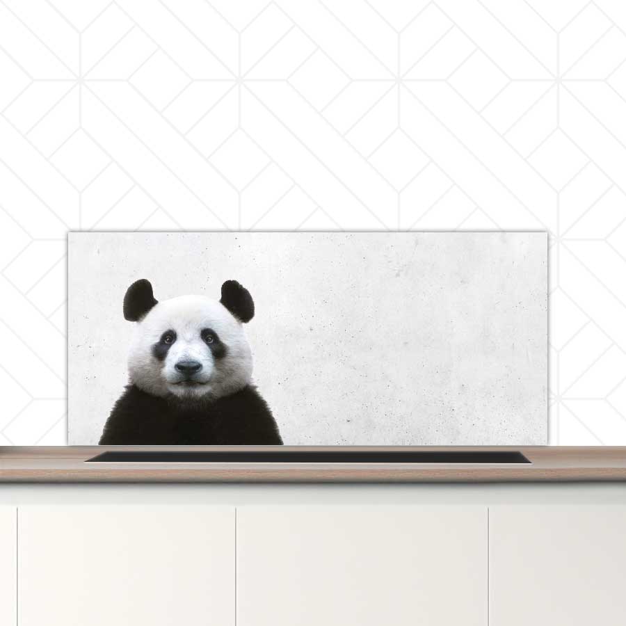 Spatscherm - Funny panda beton