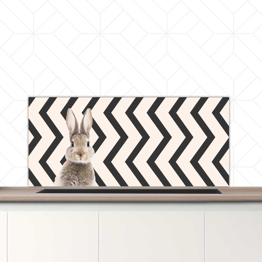 Spatscherm - Funny konijn zigzag