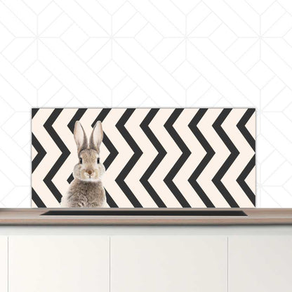 Spatscherm - Funny konijn zigzag