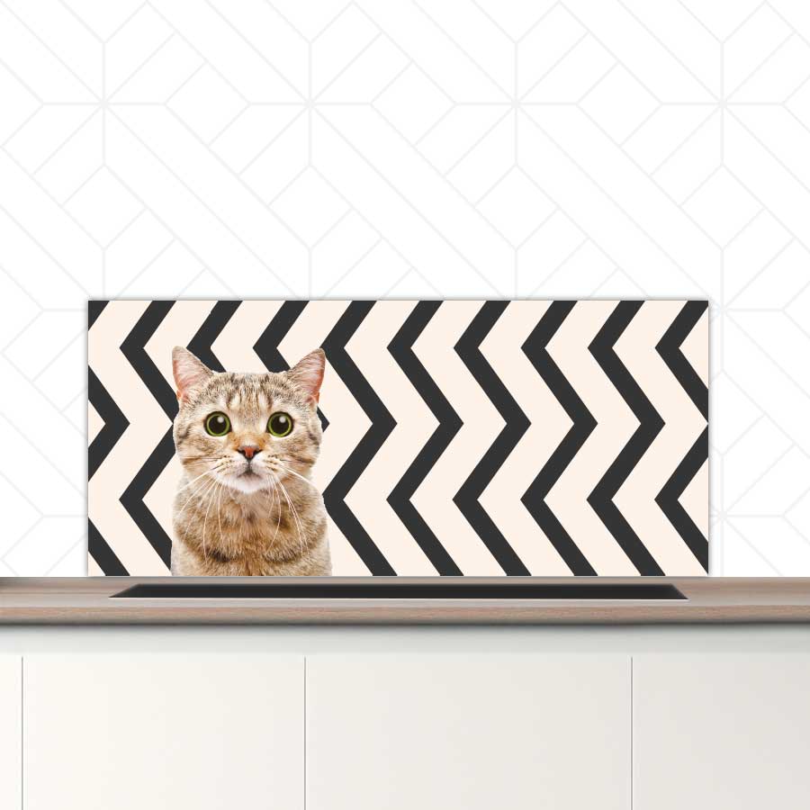 Spatscherm - Funny kat zigzag