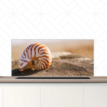 Spatscherm - Zeeschelp