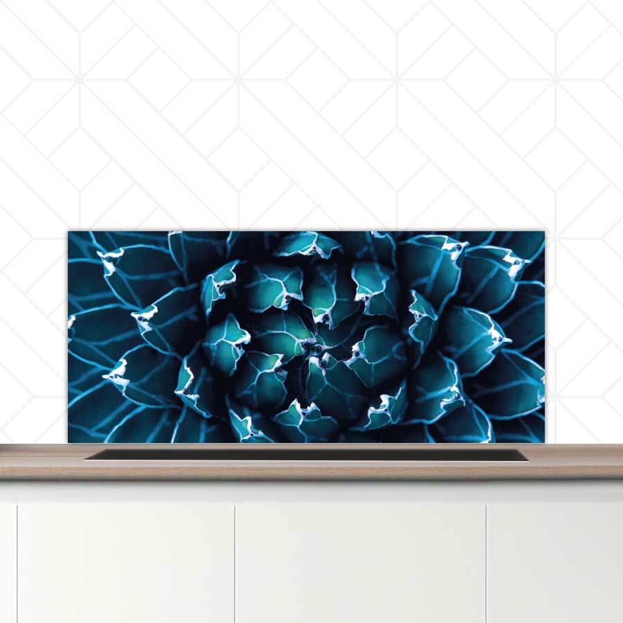 Spatscherm - Blauwe agave