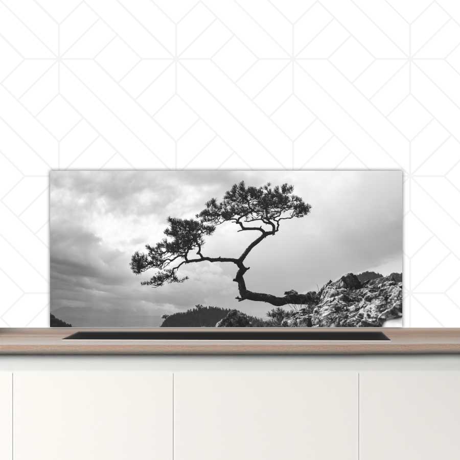 Spatscherm - Overhangende boom