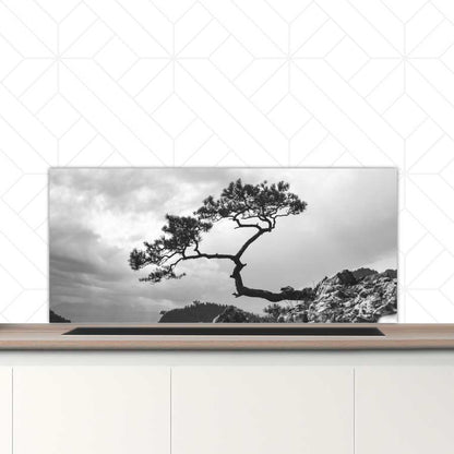 Spatscherm - Overhangende boom