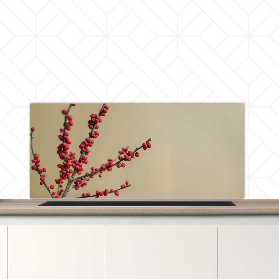 Spatscherm - Rode bessen