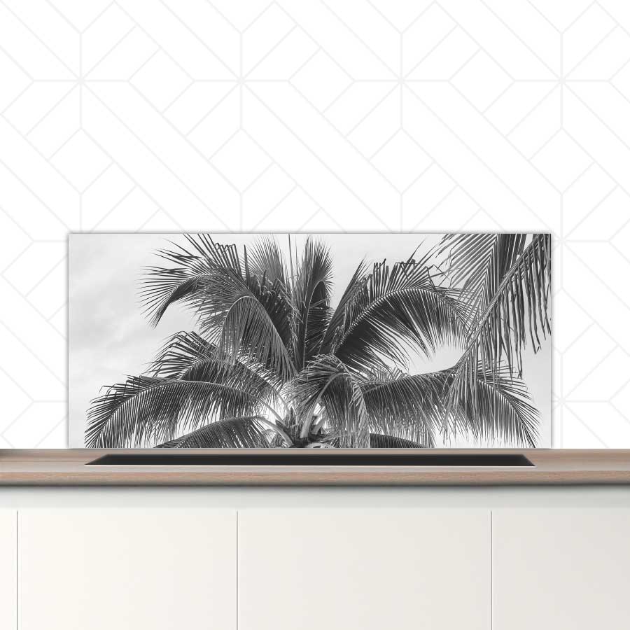 Spatscherm - Palmboom