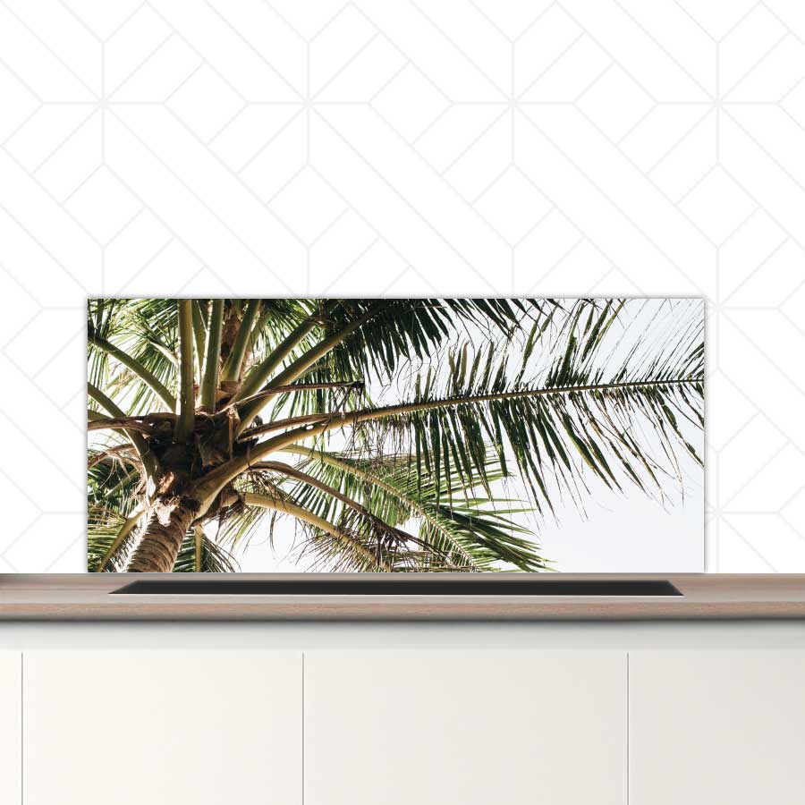 Spatscherm - Palmstrand