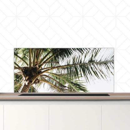 Spatscherm - Palmstrand