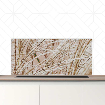 Spatscherm - Droge rietstengels