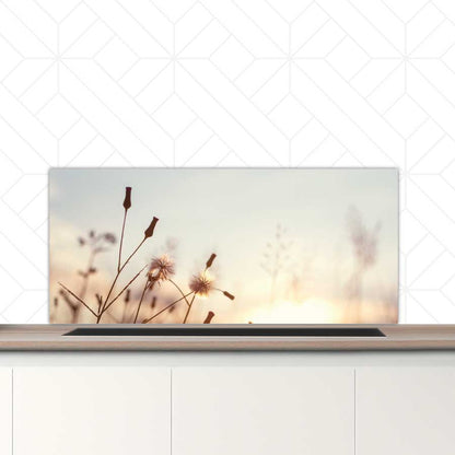 Spatscherm - Dandelion zonsondergang