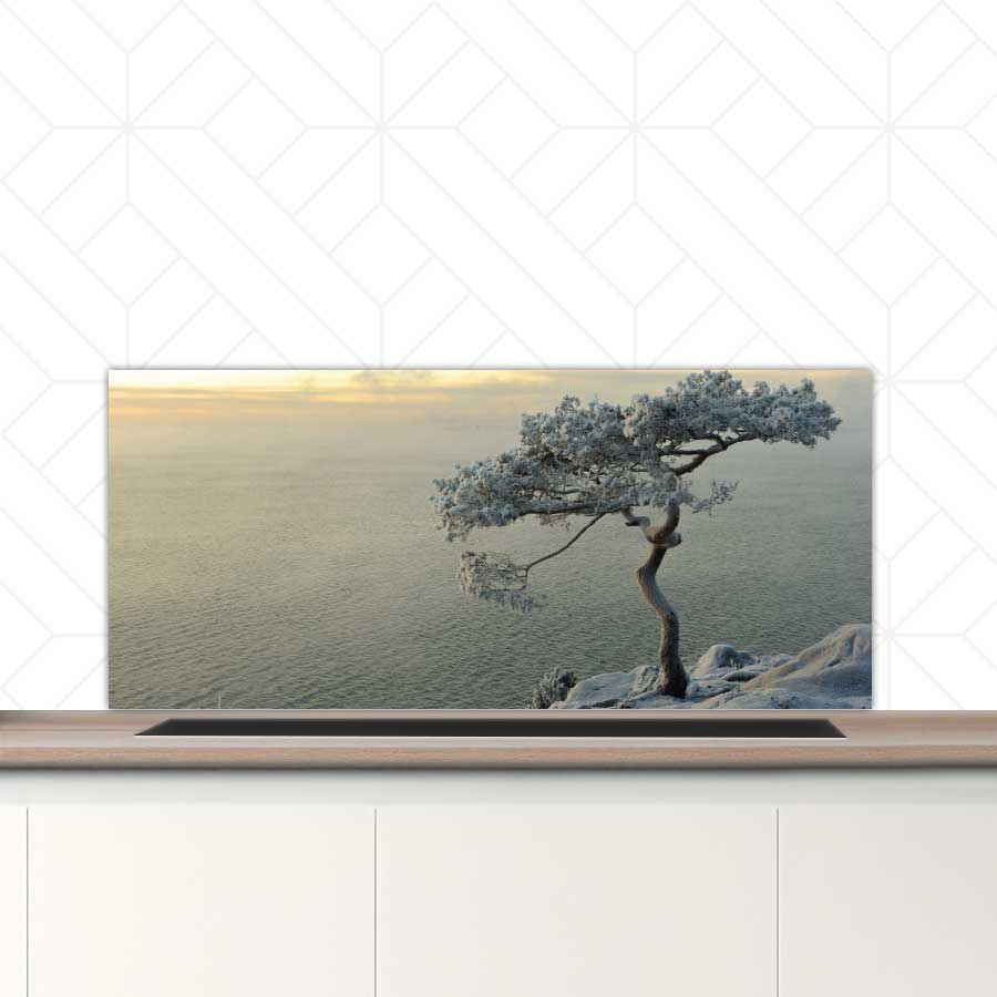 Spatscherm - Winterboom