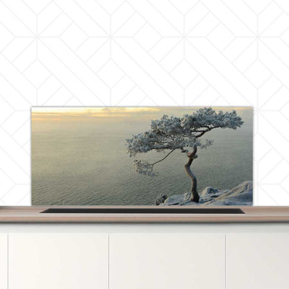 Spatscherm - Winterboom