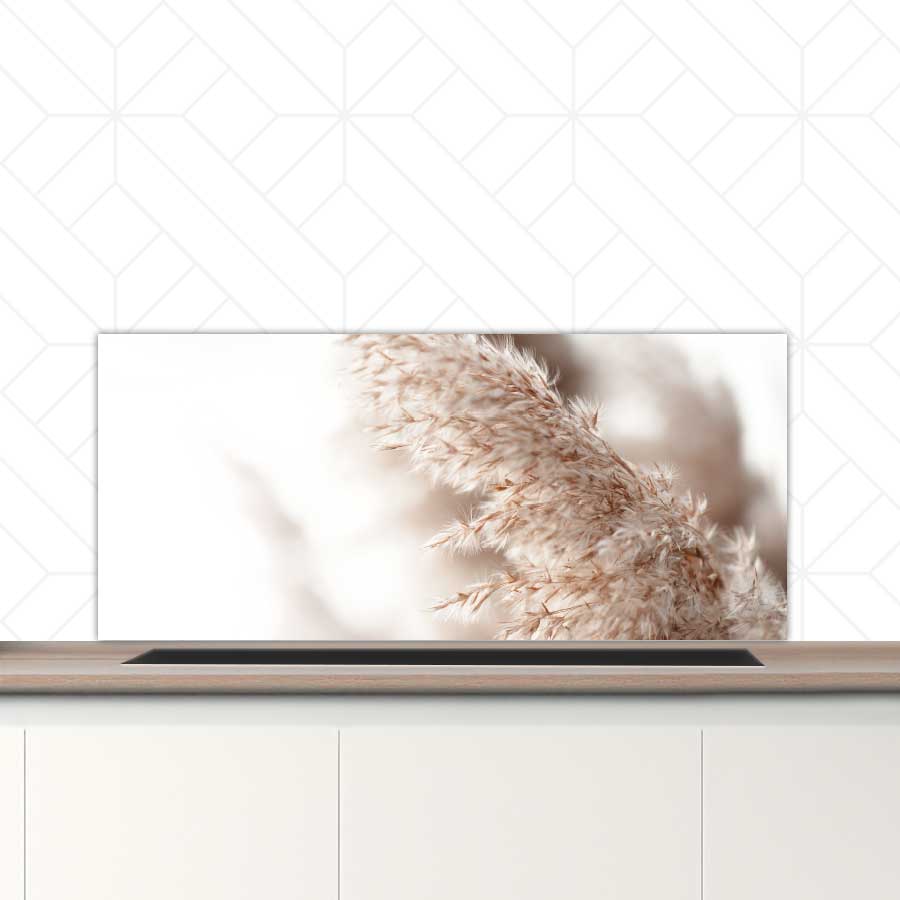 Spatscherm - Pampas gras