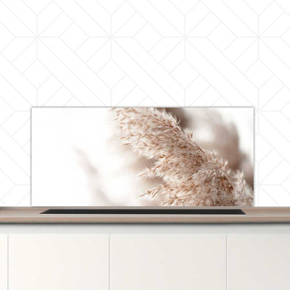 Spatscherm - Pampas gras