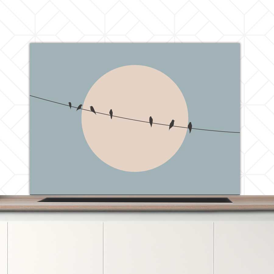 Spatscherm - Vogels op een draad